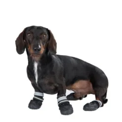 Sports & Protective Dog Boots