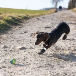 Sports & Protective Dog Boots -Happy Pet Shop 52149 hundeschuhe xs fg 0967 9