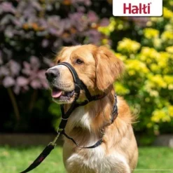 Halti Head Collar - Black -Happy Pet Shop 5 halti headcollar black size 3 lifestyle 5