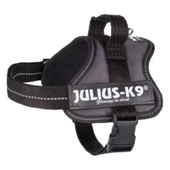Julius K9 JULIUS-K9® Power Harness - Anthracite -Happy Pet Shop 69338 pla trixie julius k9 farbangabe hs 03 15020za 3