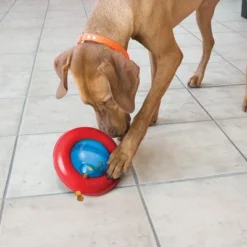 KONG Gyro -Happy Pet Shop 74248 kong gyro 1