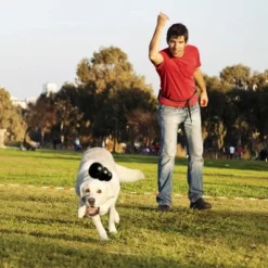 KONG Extreme Black -Happy Pet Shop 74319 kongextremeschwarz hs 02 0