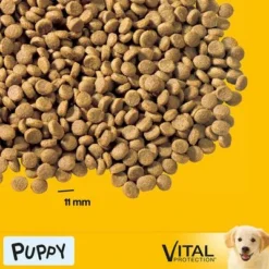 Pedigree Junior Medium Complete - Chicken & Rice 9 Pedigree Junior Medium Complete - Chicken & Rice -Happy Pet Shop 7505 mars pedigree junior medium chickenrice hs 01 3