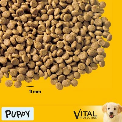 Pedigree Junior Medium Complete - Chicken & Rice 5 Pedigree Junior Medium Complete - Chicken & Rice - Image 5