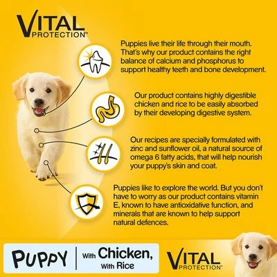 Pedigree Junior Medium Complete - Chicken & Rice 3 Pedigree Junior Medium Complete - Chicken & Rice - Image 3