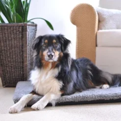 Pawz & Pepper Aurora Ortho Dog Mattress -Happy Pet Shop 78424 petlando pawzpepper hundekissen denver hs 08 6