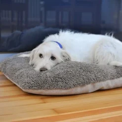 Pawz & Pepper Denver Ortho Dog Cushion -Happy Pet Shop 78610 petlando pawzpepper hundekissen auroraortho hs 09 5