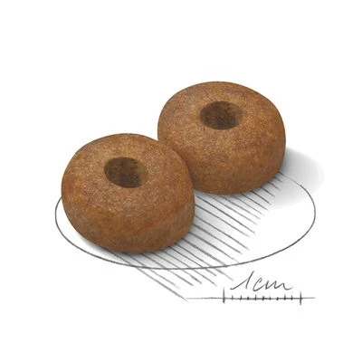 Royal Canin Maxi Ageing 8+ 3 Royal Canin Maxi Ageing 8+ - Image 3