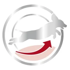 Royal Canin Medium Adult 7+ -Happy Pet Shop 80651 royalcanin mediumadult 7plus 15kg picto hs 03 9