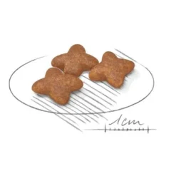 Royal Canin Mini Adult -Happy Pet Shop 80735 royalcanin miniadult 8kg croc hs 02 9