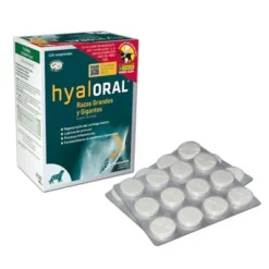 Hyaloral For Large & Giant Breeds