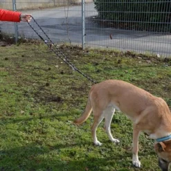 Julius K9 JULIUS-K9 IDC® Adjustable Rope Lead -Happy Pet Shop 89698 juliusk9 idcadjustableropeleash hs 13 2