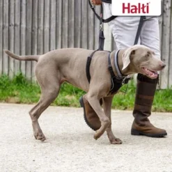 Halti Non-Pull Dog Training Harness -Happy Pet Shop 92496 92497 halti front control trainingsgeschirr hs 06 7