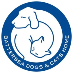 Pet Teezer De-shedding Brush Small -Happy Pet Shop 99699 newflag petteezer desheddingbrush purple hs 06 4 1