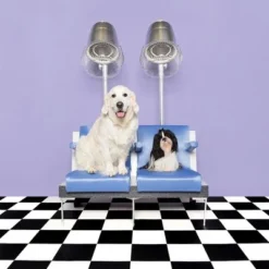 Pet Teezer De-shedding Brush -Happy Pet Shop 99699 newflag petteezer desheddingbrush purple hs 09 3