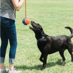 Chuckit! Rope Fetch -Happy Pet Shop 99704 petmate chuckit rope fetch hs 04 5