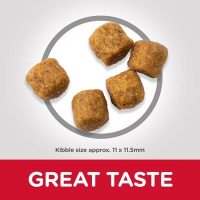 Hill's Science Plan Adult 1-6 Medium With Lamb & Rice 2 Hill's Science Plan Adult 1-6 Medium With Lamb & Rice - Image 2