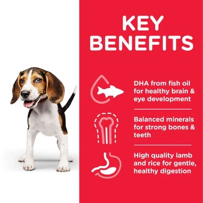 Hill's Science Plan Hill’s Science Plan Puppy <1 Medium With Chicken 4 Hill's Science Plan Hill’s Science Plan Puppy <1 Medium With Chicken - Image 4