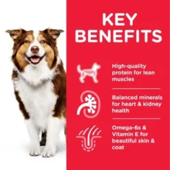 Hill's Science Plan Hill’s Science Plan Mature Adult 7+ Medium With Chicken -Happy Pet Shop atf8 604378 key benefits 8