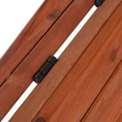 Backstage Dog Ramp -Happy Pet Shop dsc4543 2