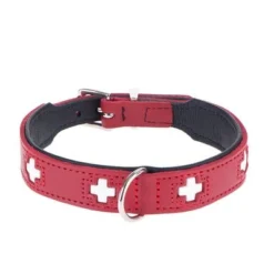 HUNTER Swiss Dog Collar -Happy Pet Shop dsc9098 0