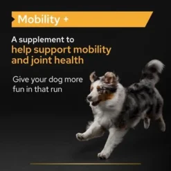 Pro Plan Mobility Dog Supplement Powder -Happy Pet Shop features 4