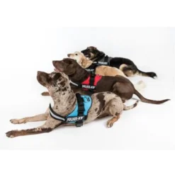 Julius K9 Power Harness - Red -Happy Pet Shop juliusk9 powergeschirr 4 farben 4