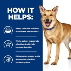 Hill's Prescription Diet Canine I/d Digestive Care - Chicken -Happy Pet Shop pd id dog bk30978m bk31617 bk30920 how helps uk 6