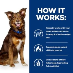 Hill's Prescription Diet Canine Metabolic Weight Management - Chicken -Happy Pet Shop pd metabolic dog bk32929 bk27893m bk32064m bk21343 bk21344 how works uk 6