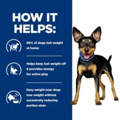 Hill’s Prescription Diet Canine Mini Metabolic -Happy Pet Shop pd metabolic dog mini bk28229m bk30786 how helps uk 4