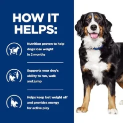 Hill's Prescription Diet Canine Metabolic+Mobility Weight+Joint Care Chicken -Happy Pet Shop pd metabolic mobility dog bk31839m bk28469 how helps uk 0