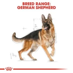 Royal Canin German Shepherd Adult -Happy Pet Shop rc bhn germanshepherd cv eretailkit 1 7
