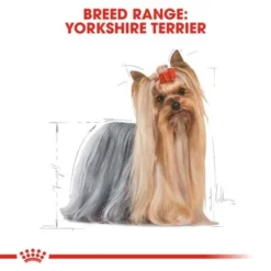 Royal Canin Yorkshire Terrier Adult -Happy Pet Shop rc bhn yorkshire cv eretailkit 1 4