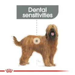 Royal Canin Care Nutrition Maxi Dental Care -Happy Pet Shop rc ccn dentalmaxi cv eretailkit 1 ufeff 1 min 7