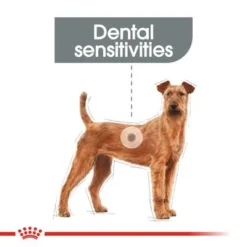Royal Canin Care Nutrition Medium Dental Care -Happy Pet Shop rc ccn dentalmedium cv eretailkit 1 ufeff 1 min 8