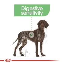 Royal Canin Maxi Digestive Care -Happy Pet Shop rc ccn digestivemaxi cv eretailkit 2 0