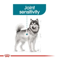 Royal Canin Maxi Joint Care -Happy Pet Shop rc ccn jointcaremaxi cv eretailkit 2 7