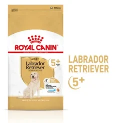 Royal Canin Labrador Retriever Adult 5+