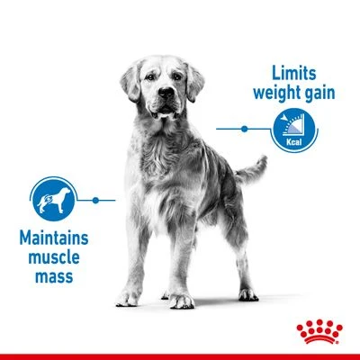 Royal Canin Maxi Light Weight Care - Image 5