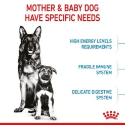 Royal Canin Maxi Starter Mother & Babydog -Happy Pet Shop rc spt dry maxistart b1 page 05 0