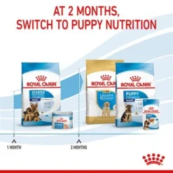 Royal Canin Maxi Starter Mother & Babydog -Happy Pet Shop rc spt dry maxistart b1 page 08 7