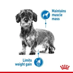 Royal Canin Light Weight Care Mousse -Happy Pet Shop rc spt wet lightweightallsize page 3 9