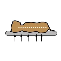 Pawz & Pepper Denver Ortho Dog Cushion -Happy Pet Shop skizze memory foam 1