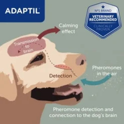 ADAPTIL® Transport Spray -Happy Pet Shop transport spray 3 2