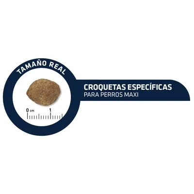 Advance Maxi Light 5 Advance Maxi Light - Image 5