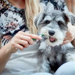 Vet's Best® Dental Care Set For Dogs -Happy Pet Shop v317310 vetsbest dentalcare kit hs 09 3