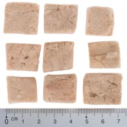 Wolf Of Wilderness RAW Freeze-dried Snacks Saver Packs -Happy Pet Shop wow fd snack blue river cubes with ruler 4 1