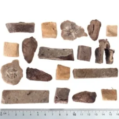 Wolf Of Wilderness RAW 5 Mix Freeze-dried Snacks -Happy Pet Shop wow raw mixed fg 5427 2