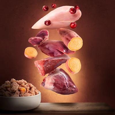 Purizon Adult Saver Pack 24 X 400g - Image 4