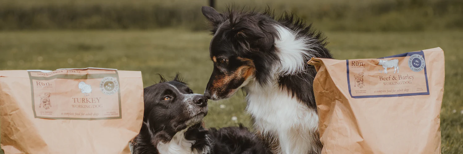 Happy Pet Shop -Happy Pet Shop Shopify homepage A banner